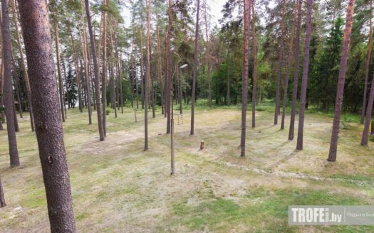 База отдыха «Чигиринка»