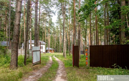 База отдыха «Чигиринка»