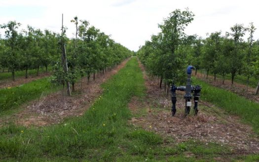 Продается недвижимость