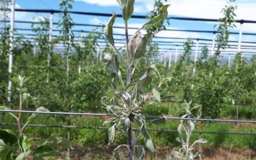 Продается недвижимость