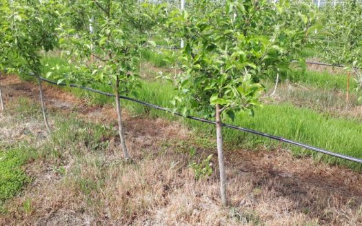 Продается недвижимость