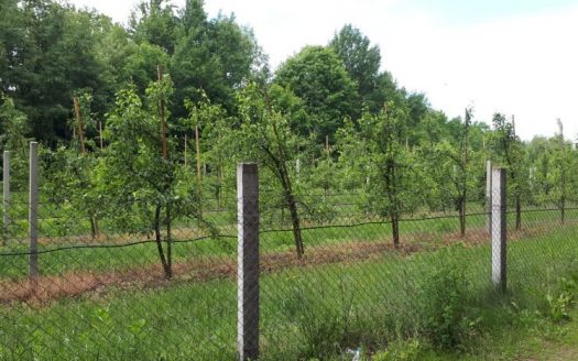 Продается недвижимость