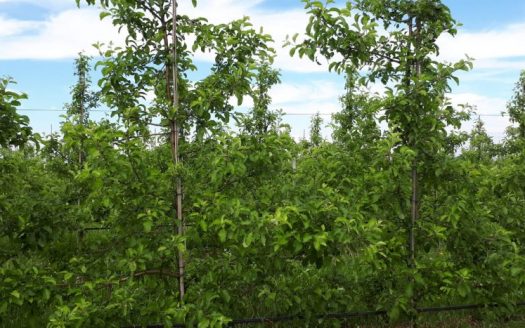 Продается недвижимость