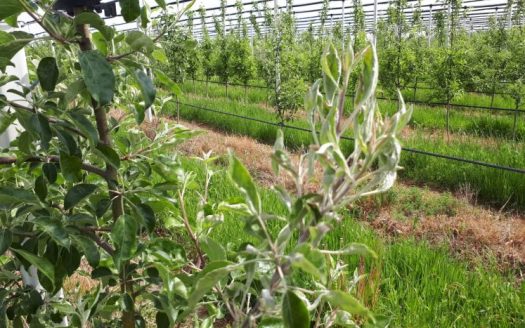 Продается недвижимость