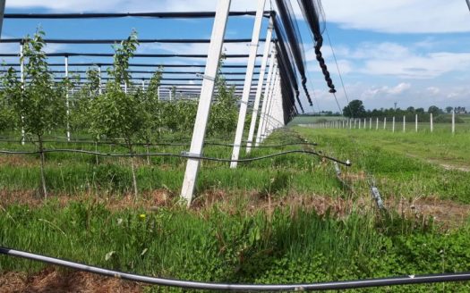 Продается недвижимость