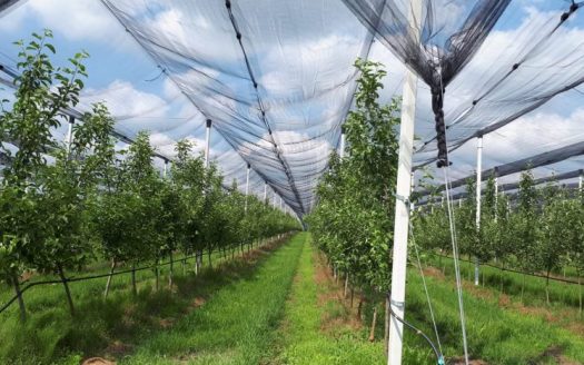 Продается недвижимость