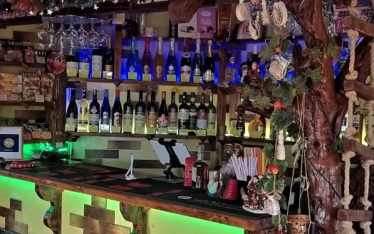 Продаётся Кафе-Отель «Сказка»