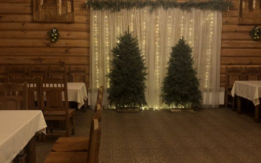 Продается придорожное кафе в г. Речица