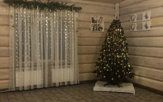 Продается придорожное кафе в г. Речица