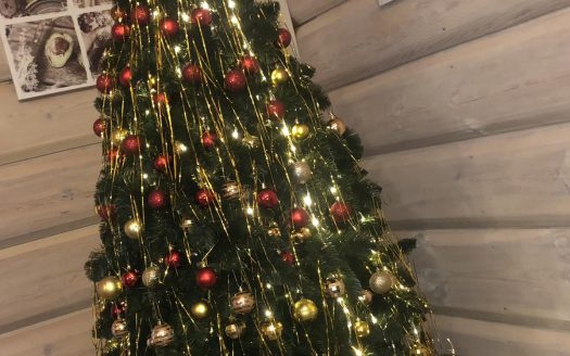 Продается придорожное кафе в г. Речица