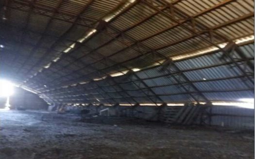 Продажа. ООО (с действующей лицензией на оптовую торговлю алкогольной и табачной продукцией)