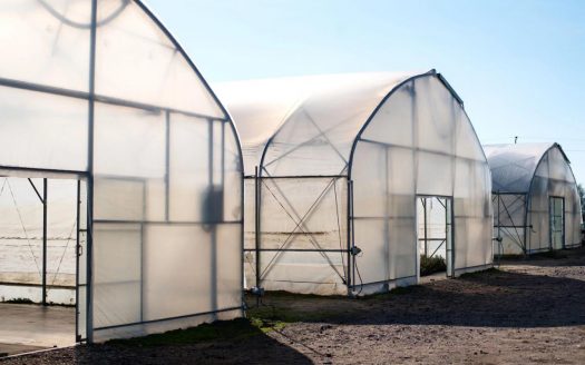 Продается агрокомплекс с микроклональной лабораторией