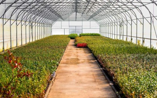 Продается агрокомплекс с микроклональной лабораторией