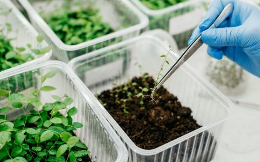 Продается агрокомплекс с микроклональной лабораторией